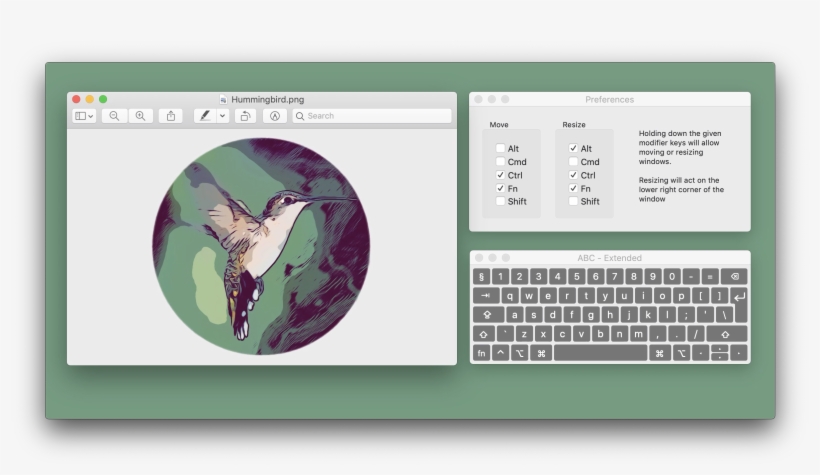 Hummingbird Move And Resize Windows Anywhere Within, transparent png