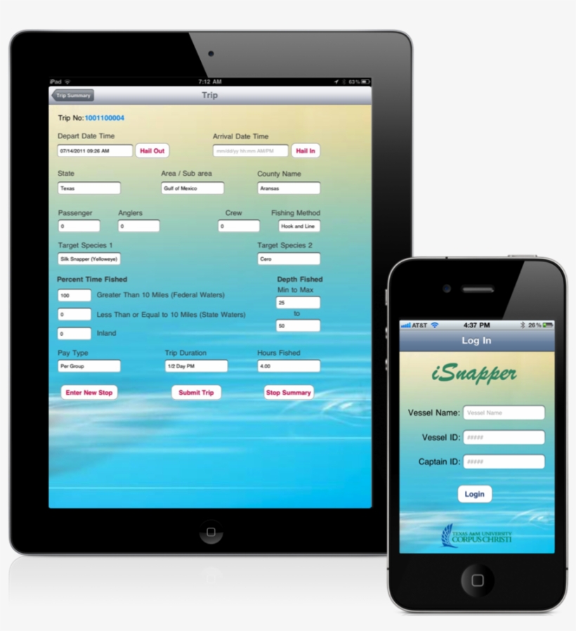 Iphone & Ipad - Mobile Device, transparent png