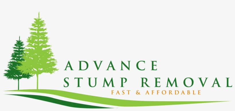 Advance Stump Removal - Christmas Tree, transparent png