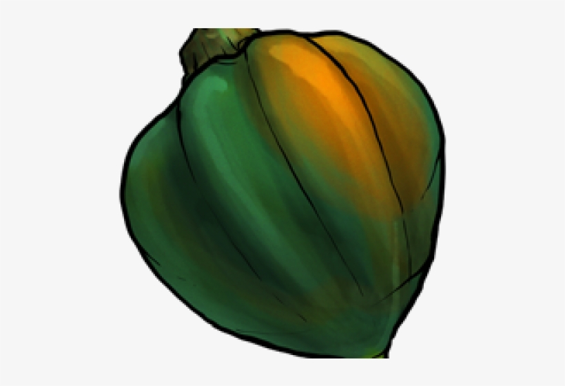 Zucchini Clipart Gourd - Acorn Squash, transparent png