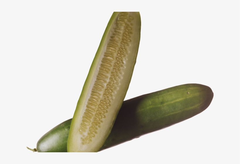 Zucchini Clipart Pipino - Salatalık Png, transparent png
