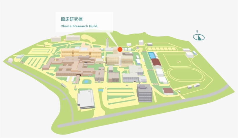（1f, Clinical Research Build - Plan, transparent png