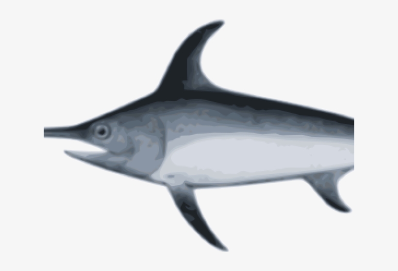 Swordfish Clipart Xiphias - דג חרב, transparent png