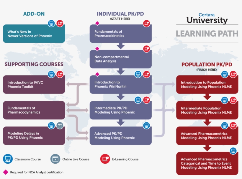 What Course Should I Take - Carnaval Porto Seguro 2012, transparent png