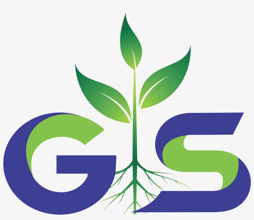 Responsive - Plant, transparent png