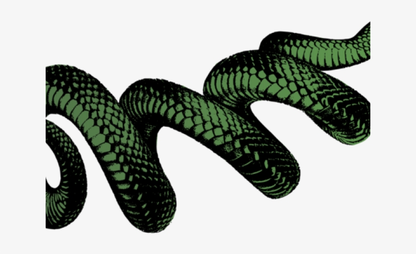 Viper Clipart Snake Venom - Black And White Snake Png, transparent png