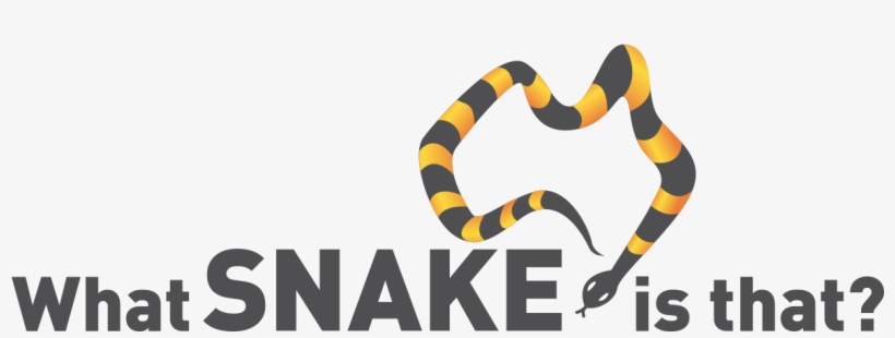 This Website Lists Thousands Of Snakes - Orchards Academy, transparent png