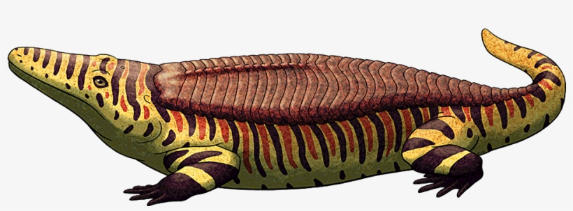 Crocodilian Like Armor Is Known To Have Evolved Naturally - Amphibian Speculative Evolution, transparent png