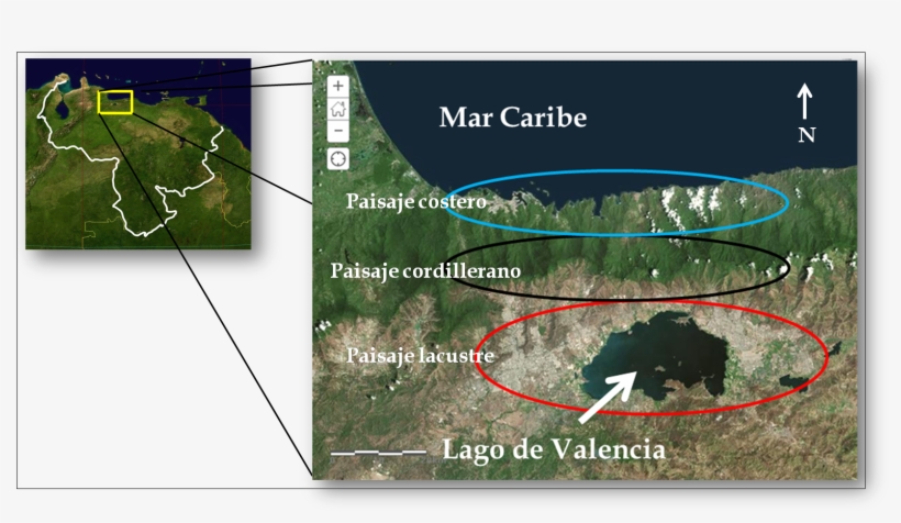 Ubicación De La Región Tacarigüense En El Contexto - Petroglífos De Inagoanagoa, transparent png