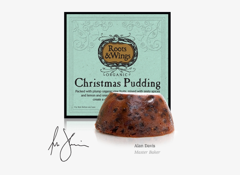 Christmas Pudding Illustration - Roots And Wings Christmas Pudding, transparent png