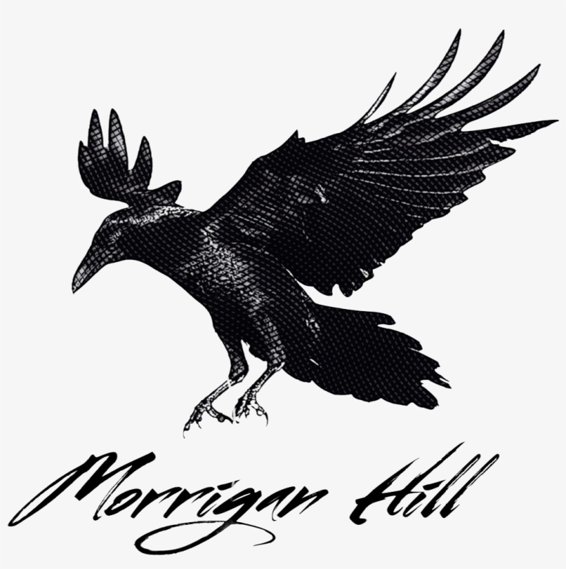 Crow Landing, transparent png