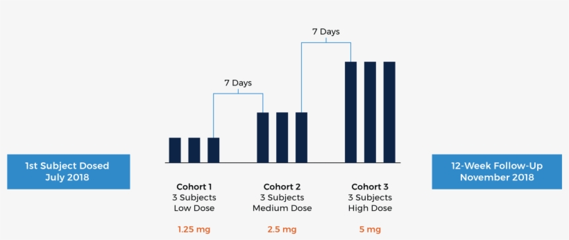 Ksi-301 Phase 1 Study Conclusions - Diagram, transparent png