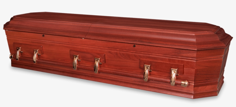 Geographe Jarrah - Trunk, transparent png