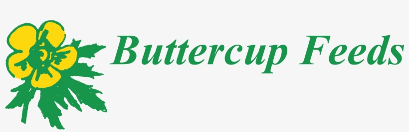 You Name It We Can Feed It - Airline Ticket, transparent png