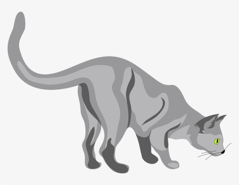 Cat Clip Art, transparent png