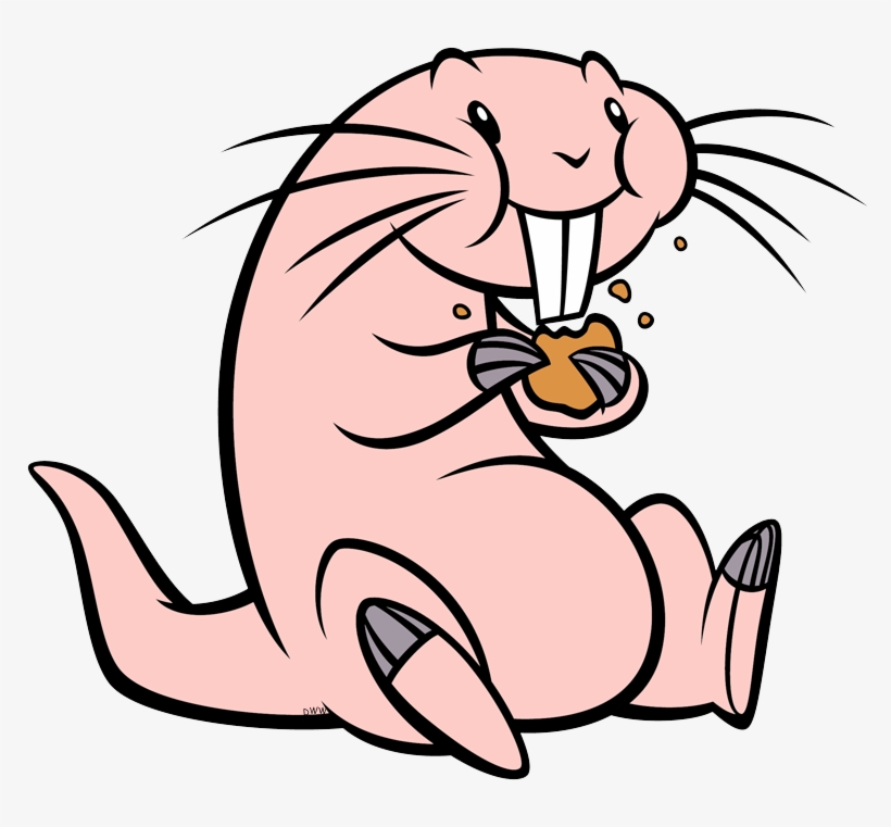 Rufus Eating A Cookie - Rufus Kim Possible Transparent, transparent png
