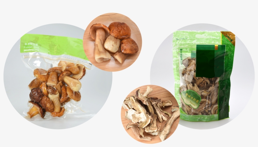 Besides Fresh, Porcini May Be Traded As Canned, Frozen - Walnut, transparent png