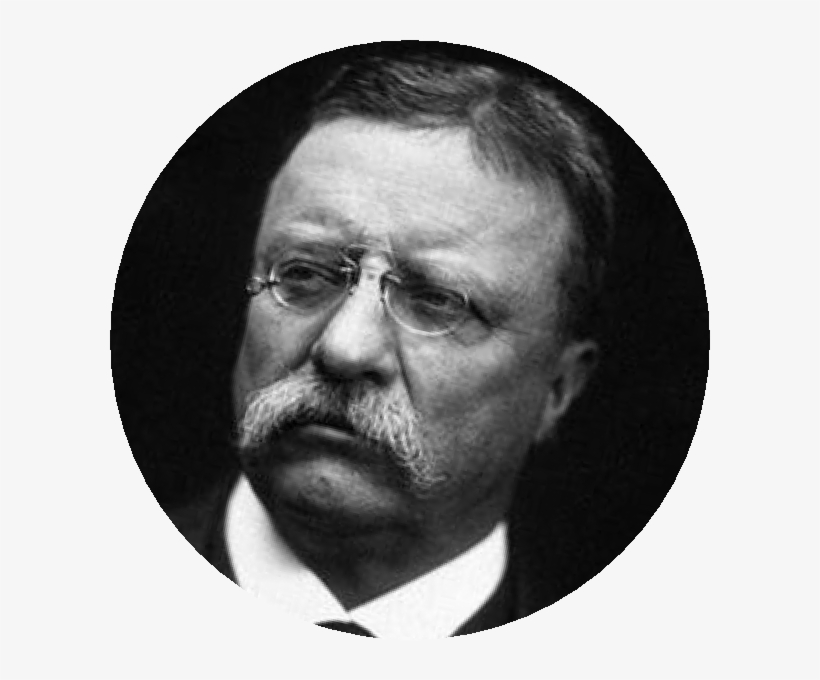 Theodore Roosevelt - Monochrome, transparent png