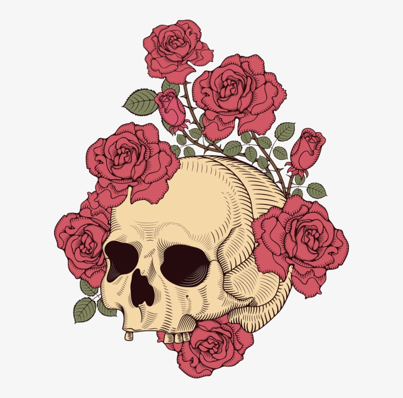 And Skull Rose Illustration T-shirt Design Human Clipart - Skull And Rose Illustration, transparent png