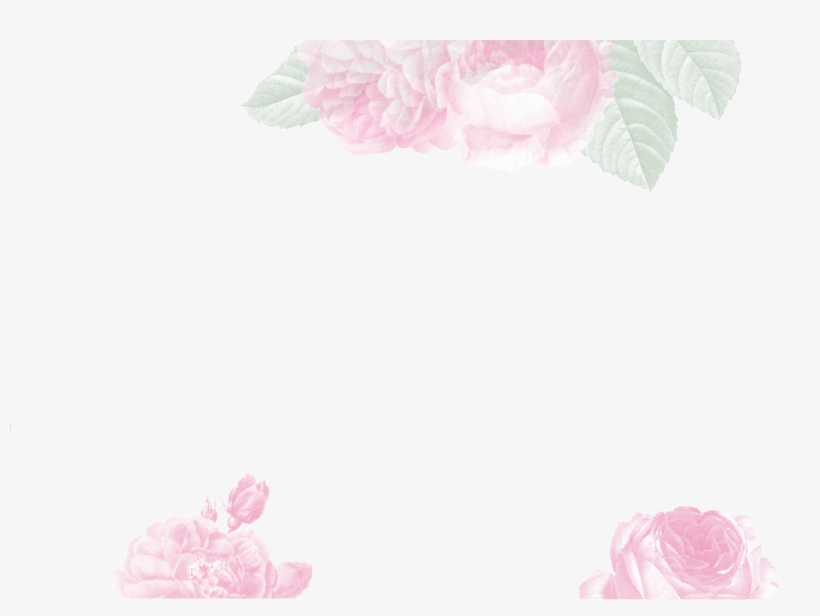 Alexandra Farms - Garden Roses, transparent png