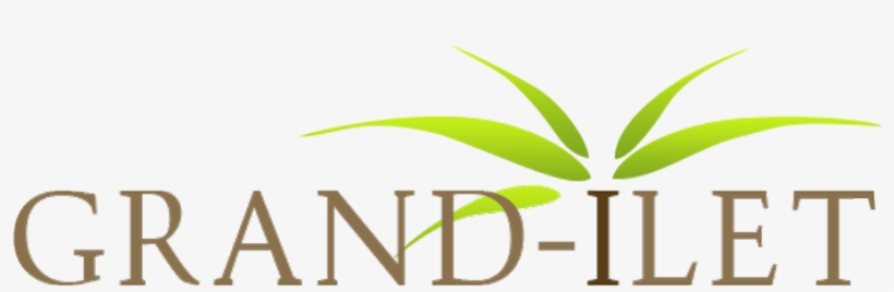 Research Topics For College Students - Graphic Design, transparent png