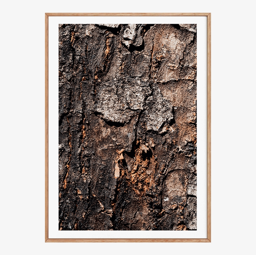 Quadros - Picture Frame, transparent png