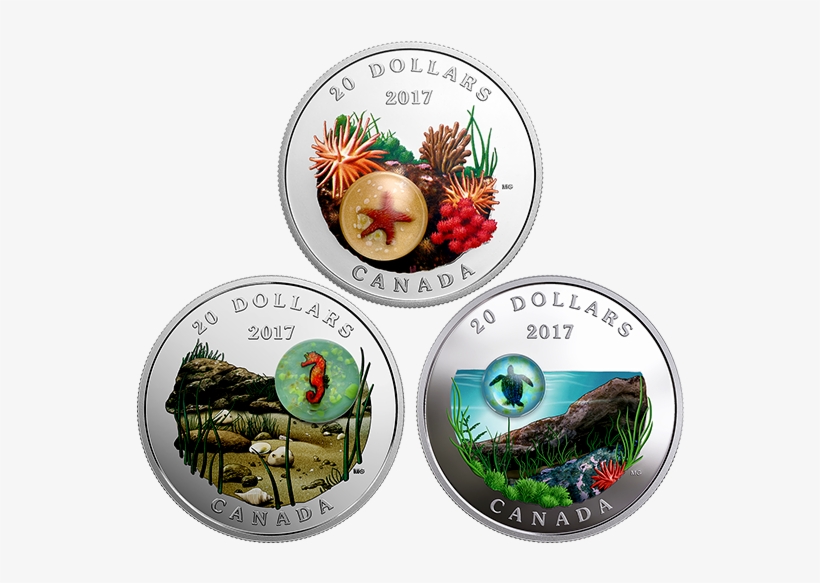 Pure Silver Coloured 3-coin Subscription Under The - Under The Sea Canadian Mint, transparent png