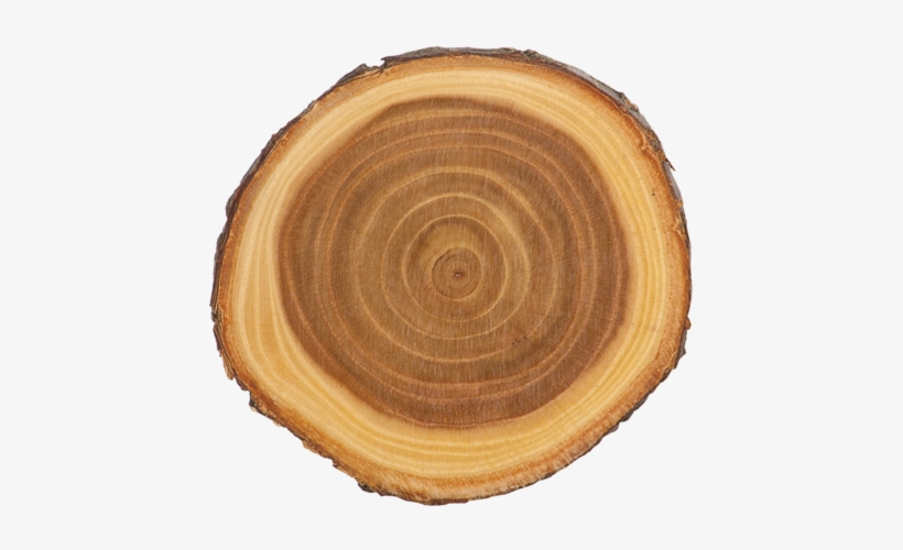 Old West Log Elmwood - Elmwood Log, transparent png