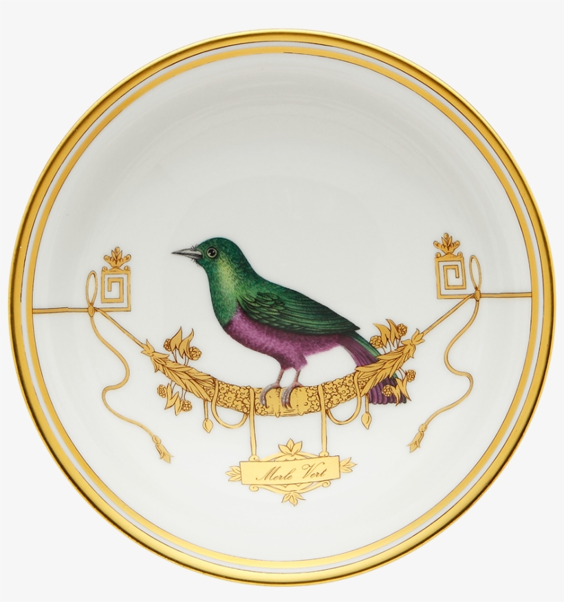 Fruit Bowl Volière Mèrle Vert - Animal, transparent png