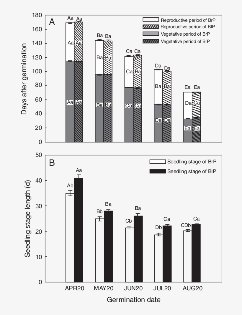 Effects Of Germination Date And Seed Type On Length - Diagram, transparent png
