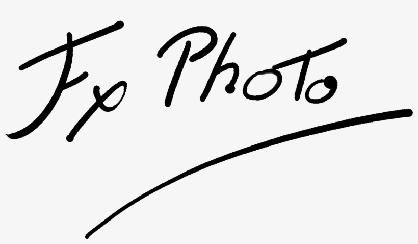 Xavier Ferrari - Calligraphy, transparent png