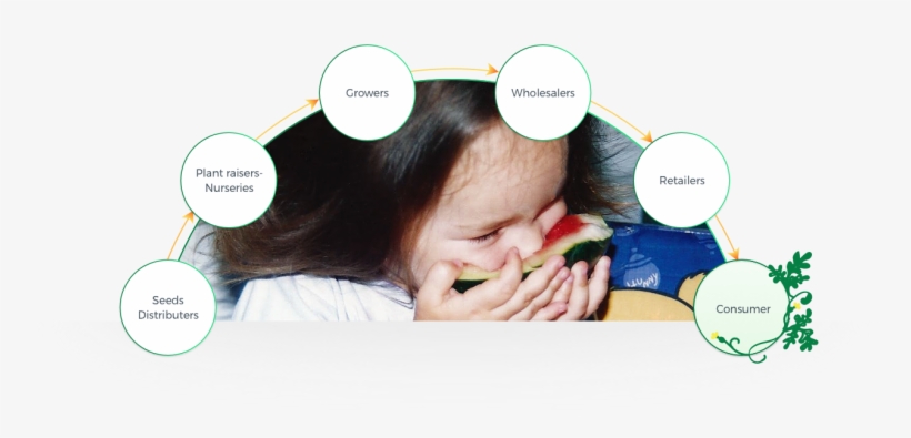 Origene Seeds Lead To A Significant Contribution For - Cartoon, transparent png