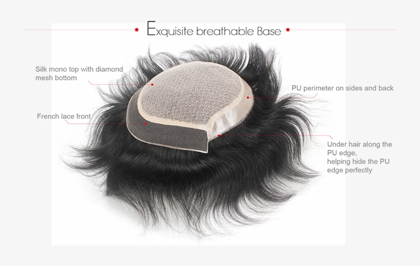 Before Shipment, We Can Help To Cut In And Style The - Toupee Underside, transparent png