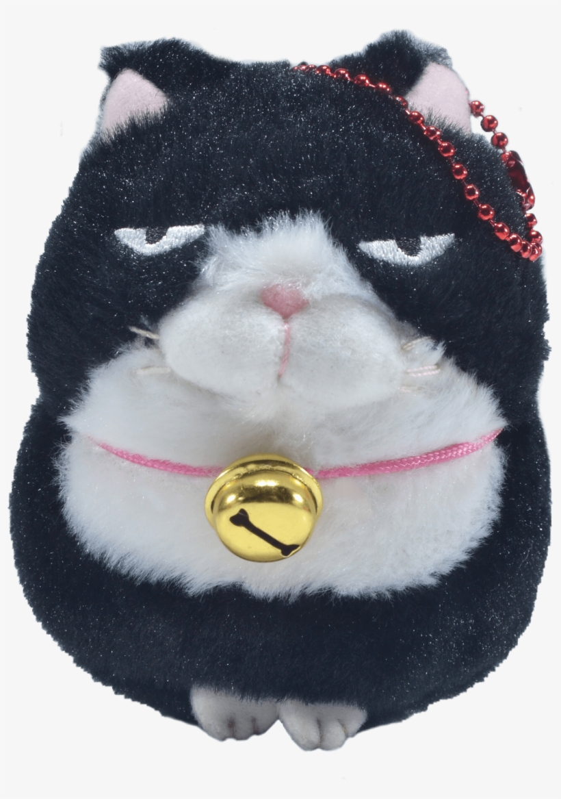 Momoiro Market - Exotic Shorthair, transparent png