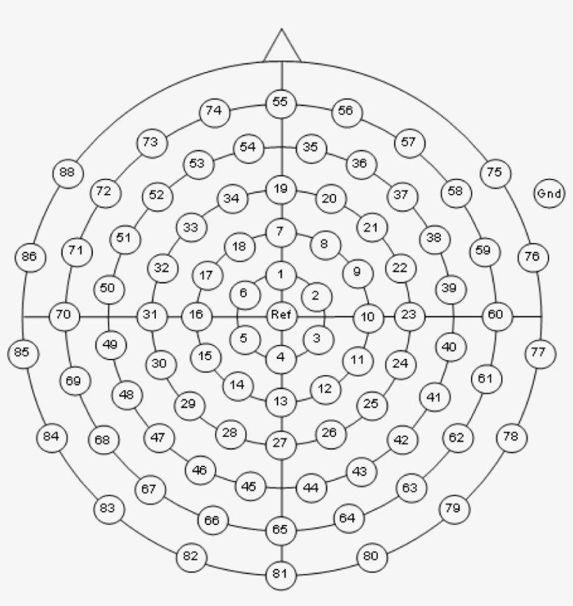 Equidistant 88 Channel Arrangement - 10 20 System Eeg 64, transparent png