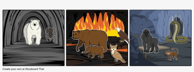 Oso Polar Y Araña - Storyboard, transparent png