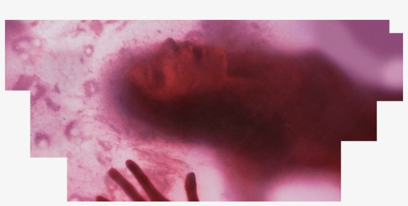 The Blob - Blob 1988, transparent png