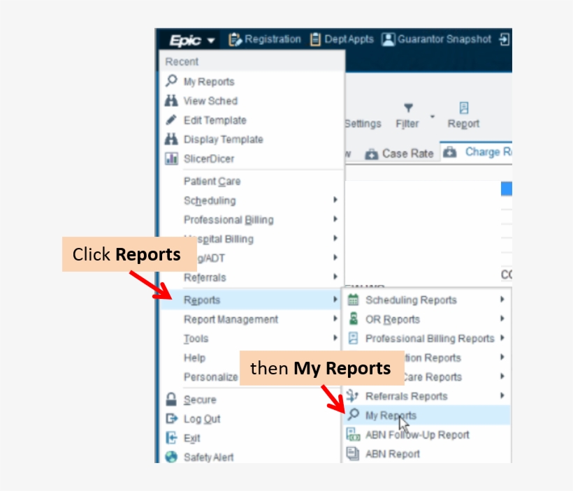 Epic Reports Myreports - Sidebar Web Page, transparent png