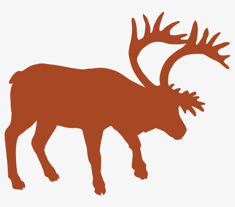 Mountain Caribou - Illustration, transparent png