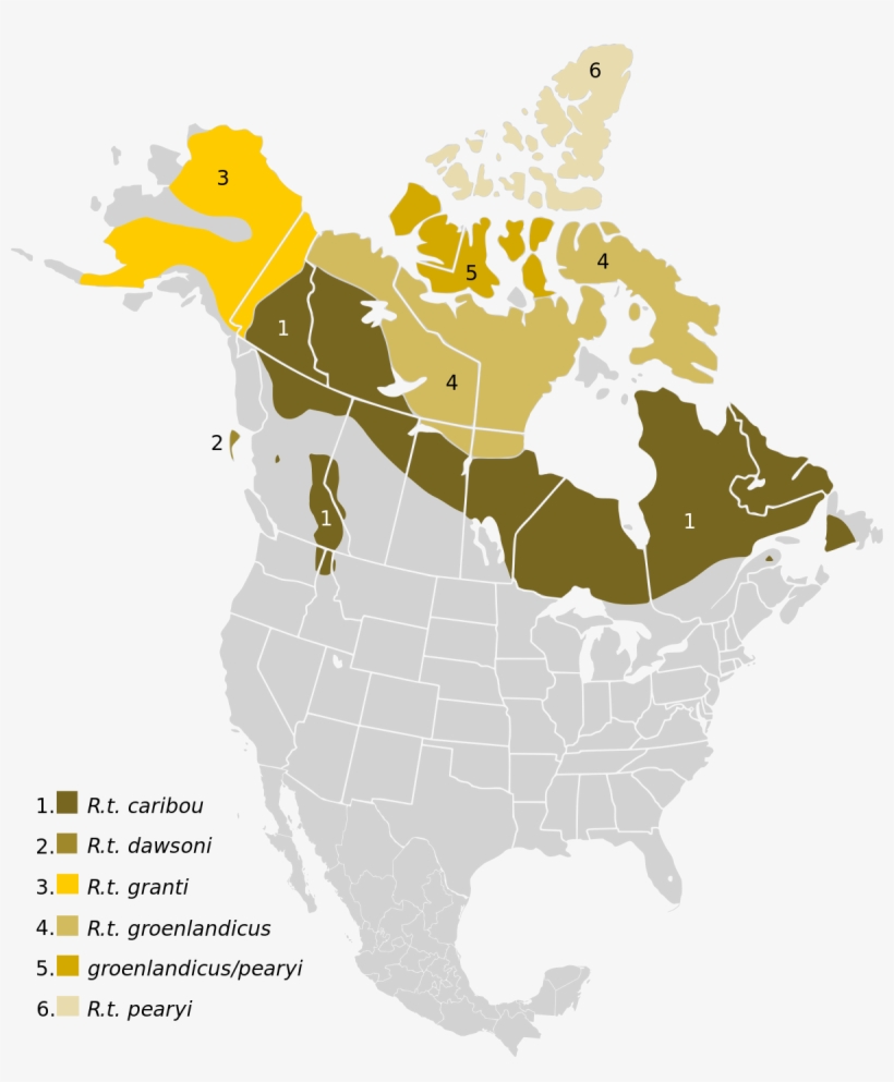 Caribou Range North America, transparent png