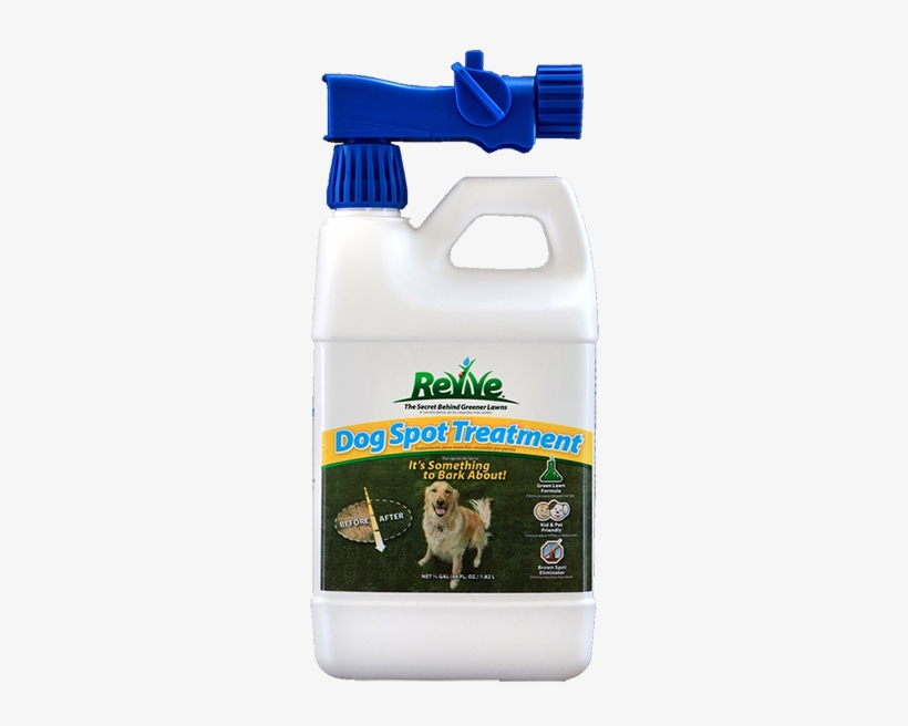 Revive Dog Spot Treatment's Proprietary Formula Works - Cardigan Welsh Corgi, transparent png