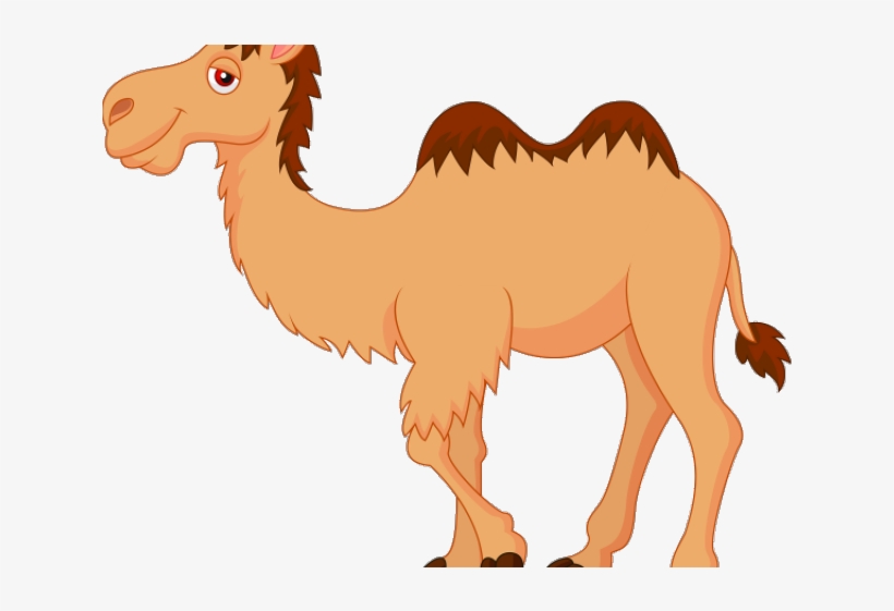 Camel Clipart Different Animal - Camel Clipart, transparent png