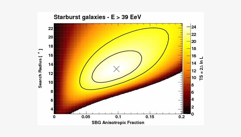 Ts Profile Above - Circle, transparent png