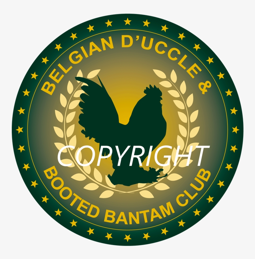 Picture - Circle, transparent png