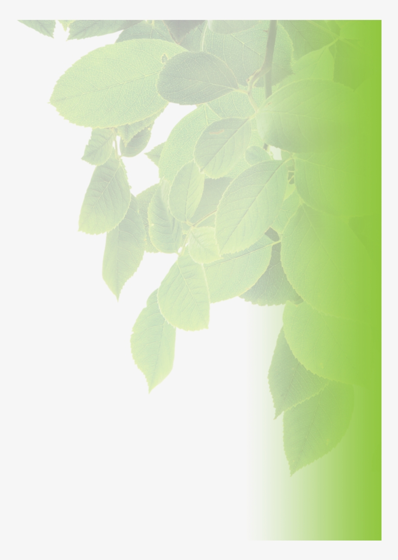 Secrets & Characteristics - Shadow, transparent png