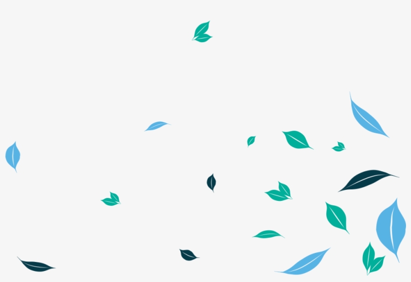 Coconut Palm, transparent png