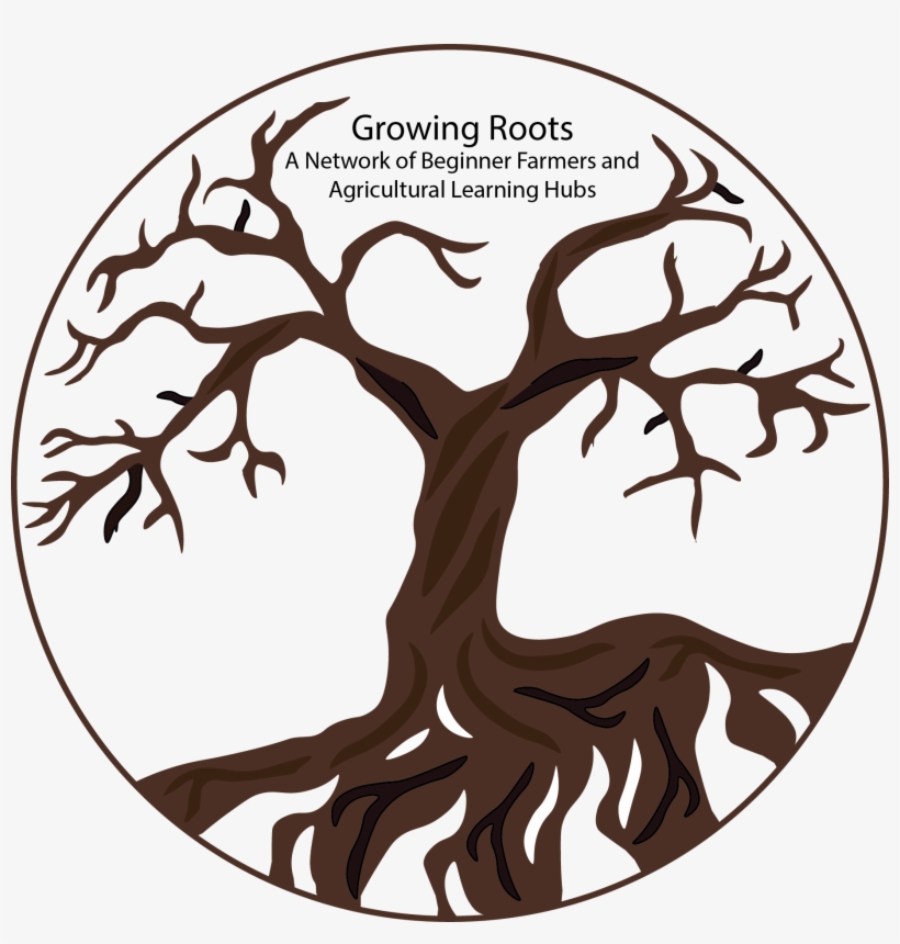 Growing Roots Logo - Illustration, transparent png