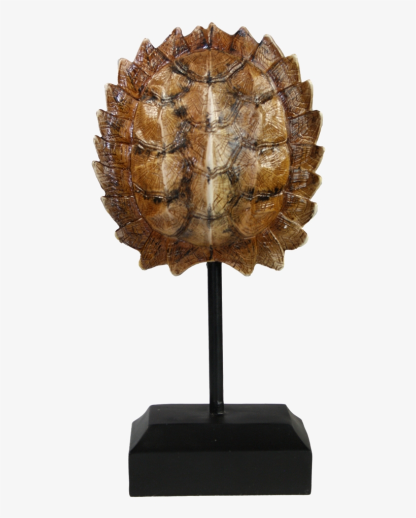 Lampshade, transparent png