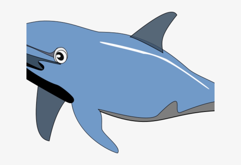 Dolphin Clip Art, transparent png
