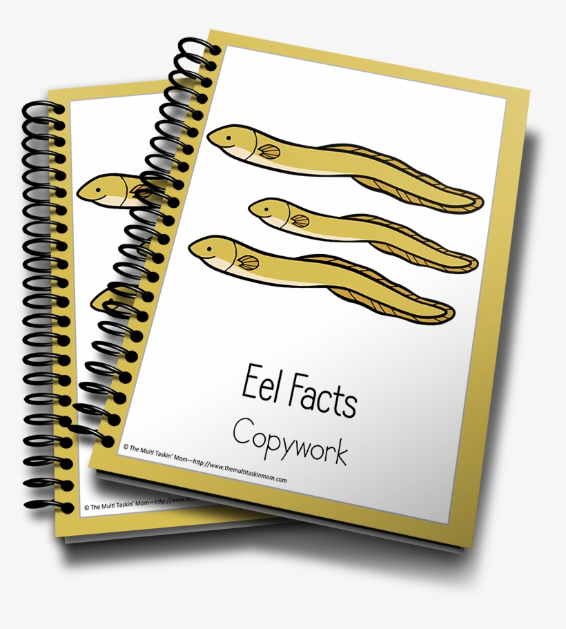 Eel Color And Copywork - Minecraft Stationery, transparent png